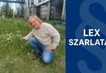 „Lex szarlatan” w zamrażarce. Rzeszowski prof. Łuczaj i prezydent Nawrocki zgodnie przeciw ustawie lex szarlatan łukasz łuczaj