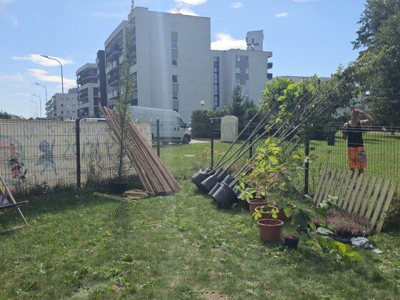 piknik zawiszy