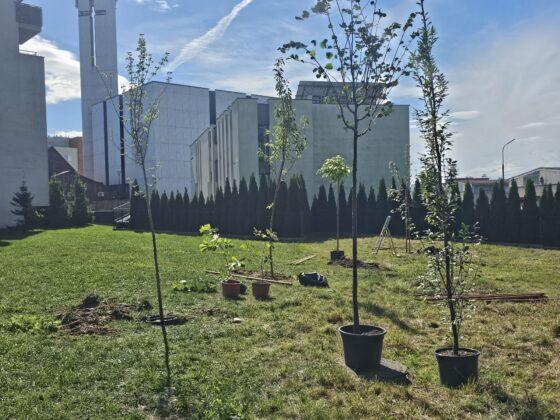 piknik zawiszy