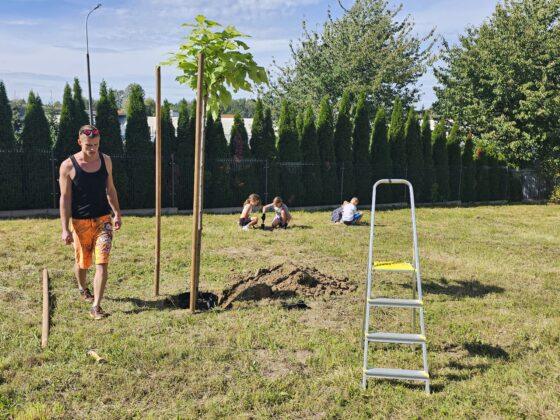 piknik zawiszy