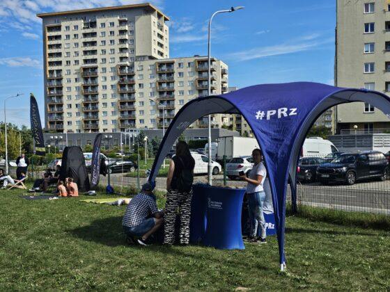 piknik zawiszy