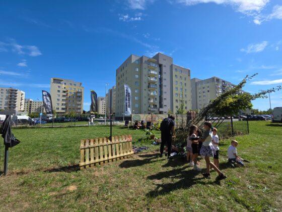 piknik zawiszy