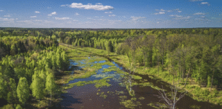 rezerwat podkarpacie