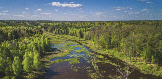 rezerwat podkarpacie