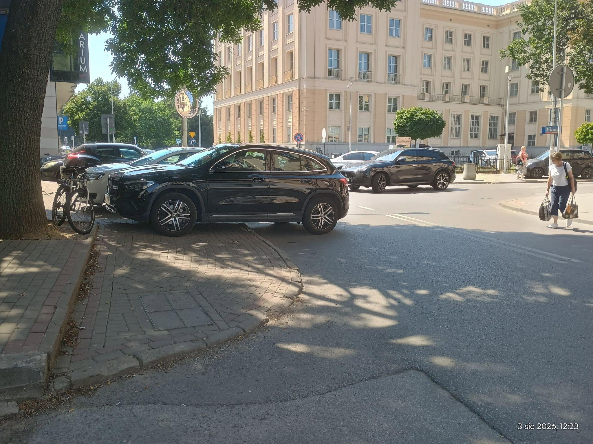 rzeszow-swiete-krowy-sierpien-01