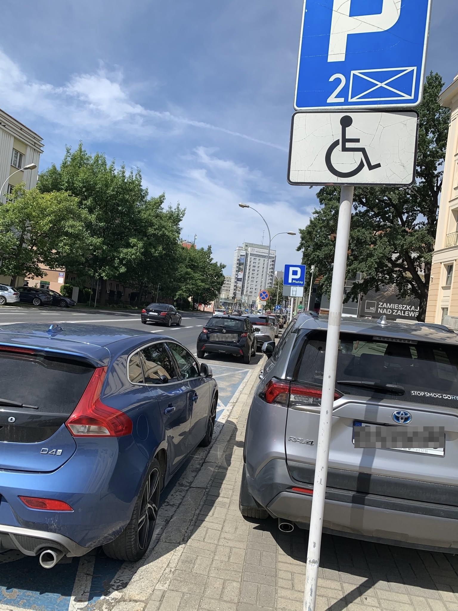 rzeszow-swiete-krowy-sierpien-02