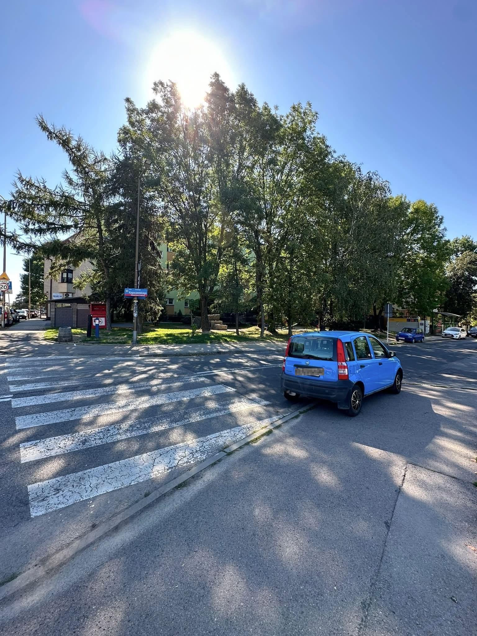 rzeszow-swiete-krowy-sierpien-03