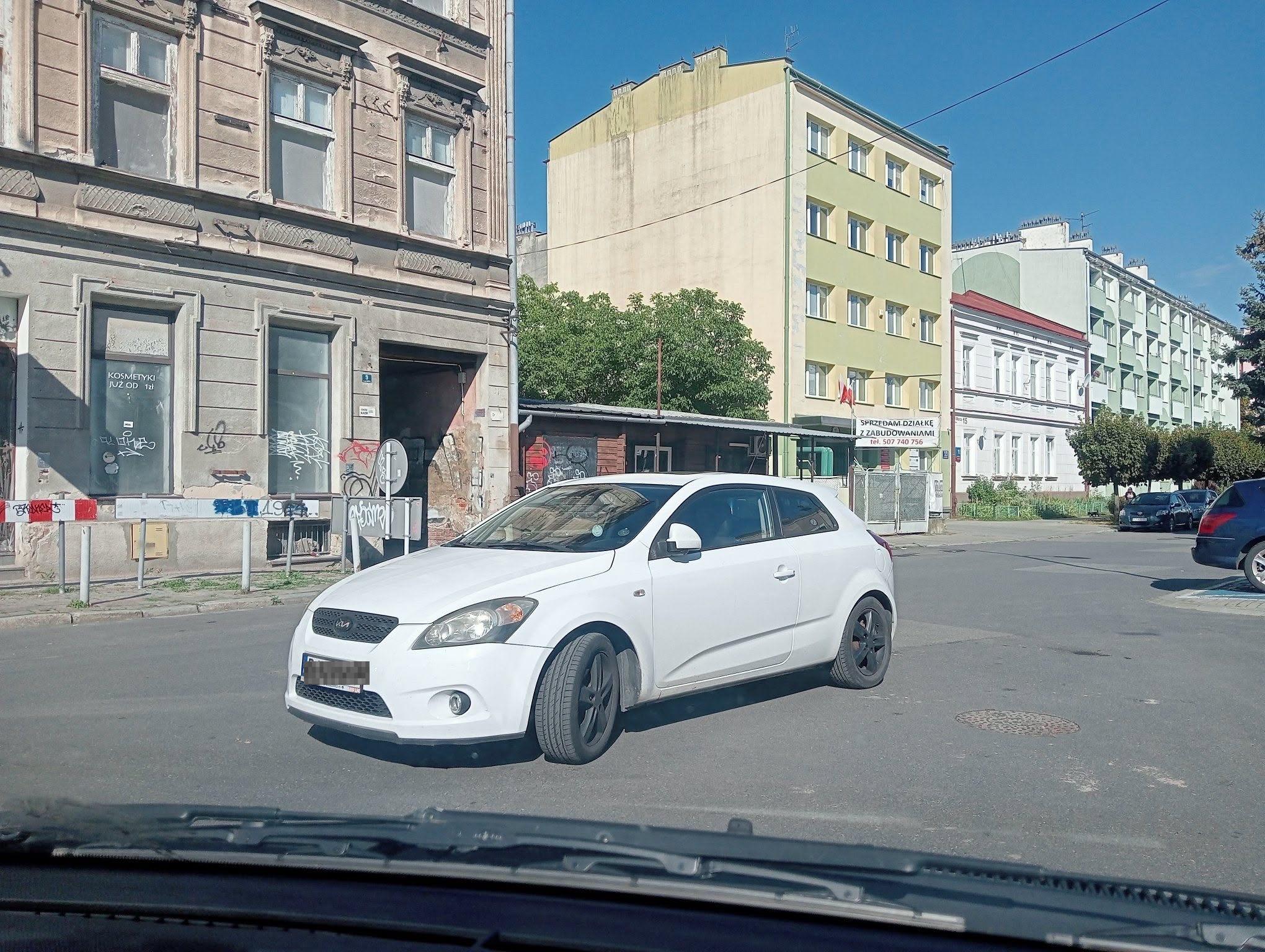 rzeszow-swiete-krowy-sierpien-05