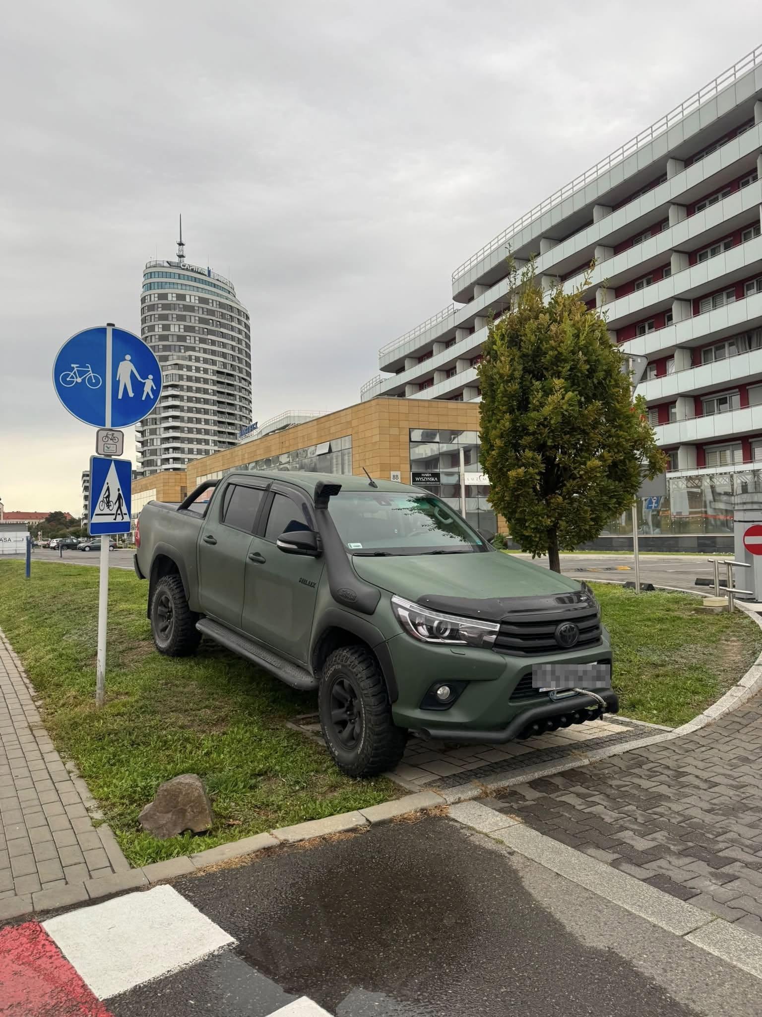 rzeszow-swiete-krowy-sierpien-08