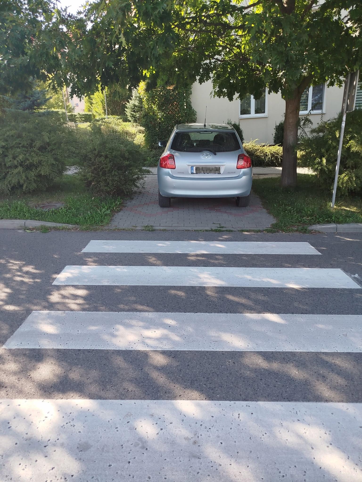rzeszow-swiete-krowy-sierpien-10