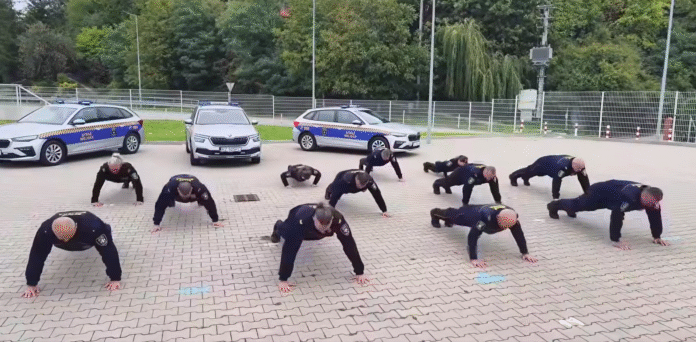 straż miejska rzeszów Straż Miejska Rzeszów