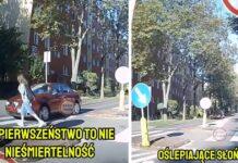 dziecko na pasach