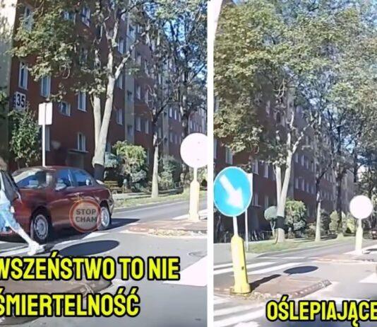 dziecko na pasach