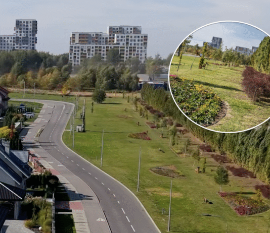Zielony bufor czy kość niezgody? Park kieszonkowy na Miłocinie dzieli mieszkańców Rzeszowa