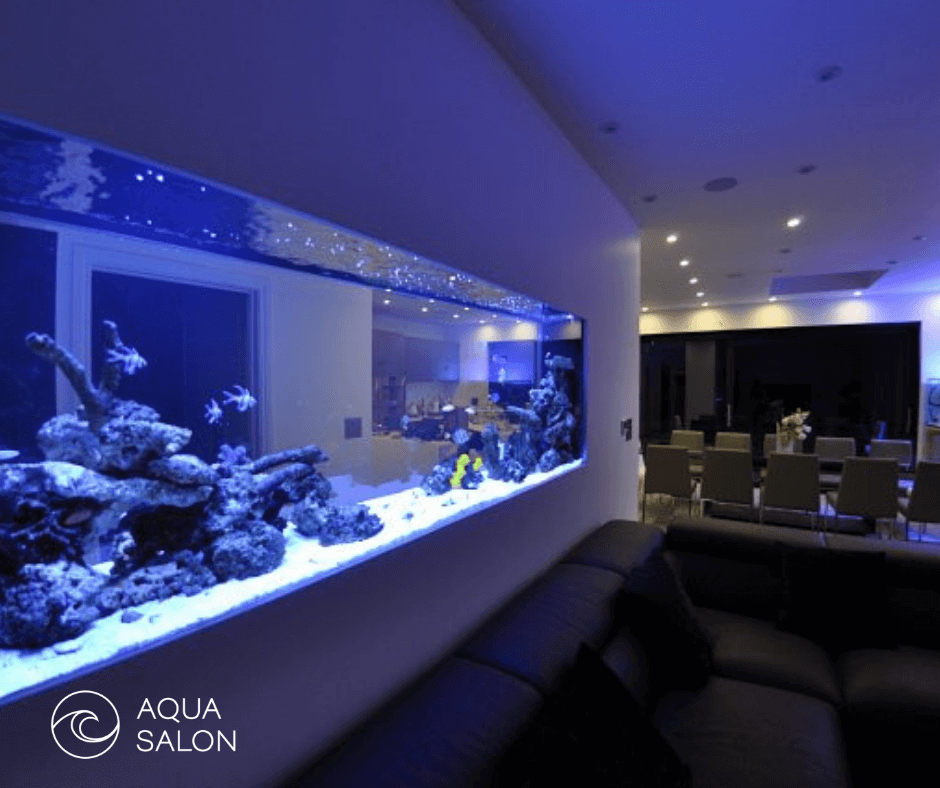 Coral-Land-Aqua-Salon_15