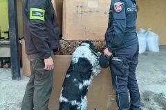 Podkarpacka-KAS-zlikwidowala-nielegalna-krajalnie-tytoniu-i-przechwycila-ponad-tone-nielegalnych-wyrobow-4