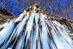 1_612687401_863980656636879_5366959285706498331_n