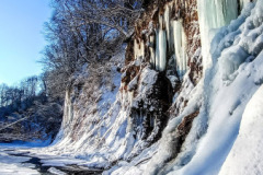 1_613137654_863980339970244_8520328689661565725_n