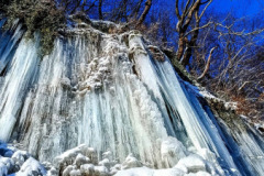 1_613612395_863980866636858_842968177704912902_n