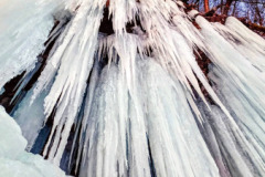 1_616456785_869956436039301_2806716380461097231_n