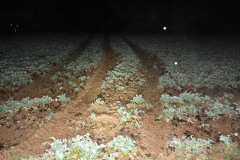 461-324958 461-324958